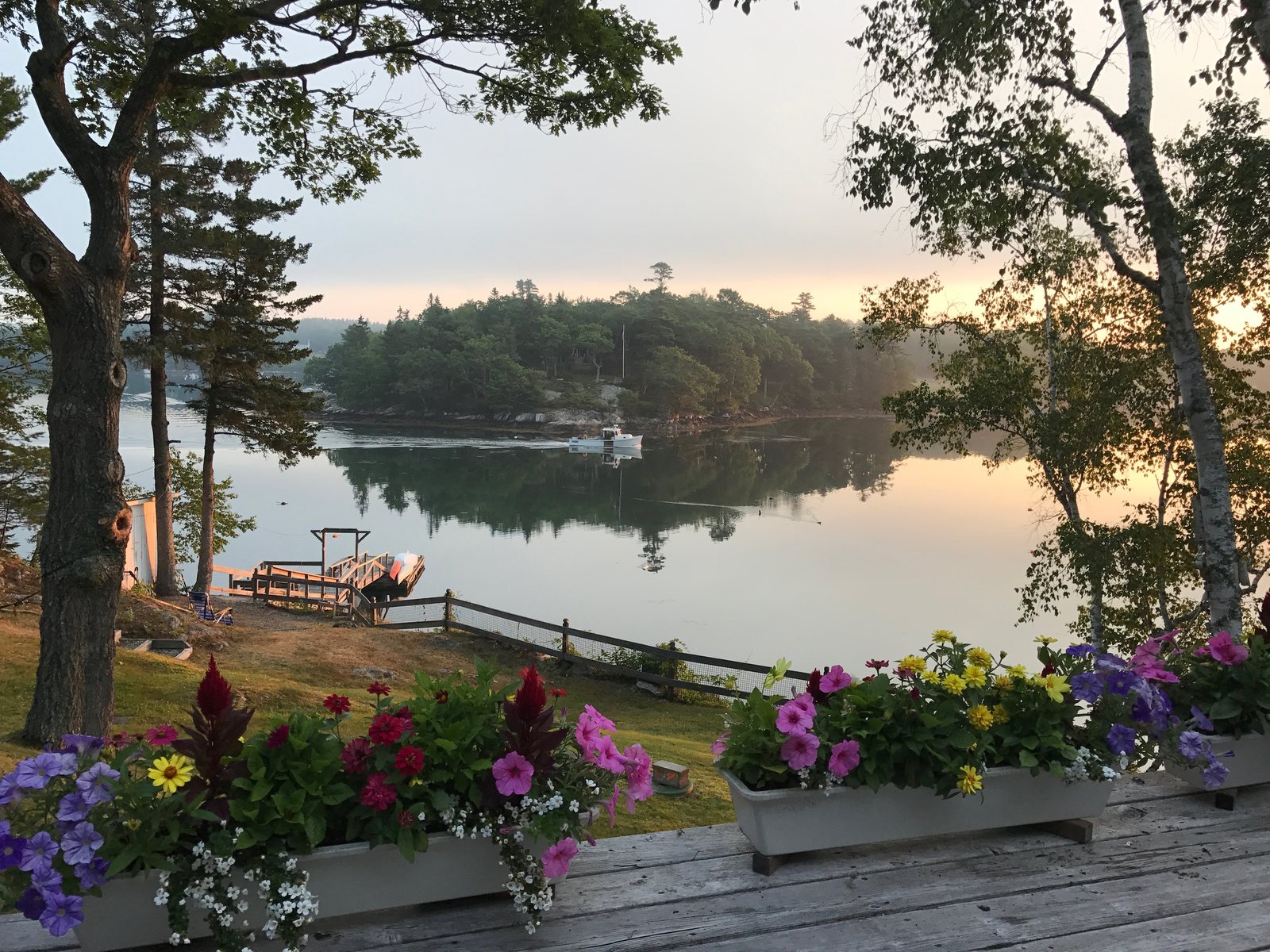 The cove at sunrise from the deck